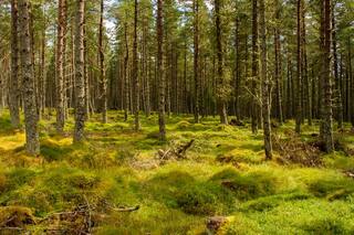 El suelo no es un recurso fijo ni estático