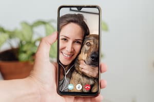 DogPhone, una tecnología para que los perros se comuniquen con sus dueños
