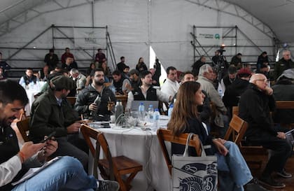 Según indicaron, “el volumen de ingreso se ubicó en niveles similares al debut de este esquema, con participación de un amplio conjunto de consignatarias y una oferta compuesta por novillos Hilton y no Hilton, además de vacas y vaquillonas con destino a exportación"