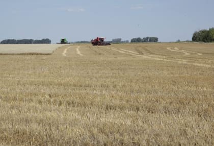 Según indicaron, este comportamiento “refleja el dinamismo del sector exportador, así como su capacidad de anticipación y planificación comercial”