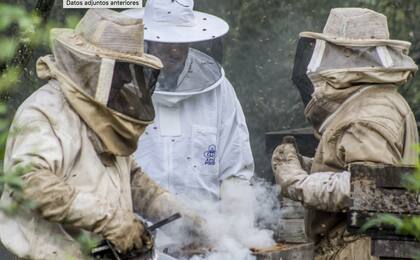 Según informaron, el desarrollo del proyecto busca una solución tecnológica que permita registrar los avances y las medidas que se implementan para mejorar la resiliencia climática y la sustentabilidad de los emprendimientos rurales