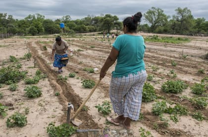 Según informaron, las condiciones climáticas en la zona donde comenzarán el programa piloto tienen una incidencia muy grande en los resultados económicos de las producciones agrícolas