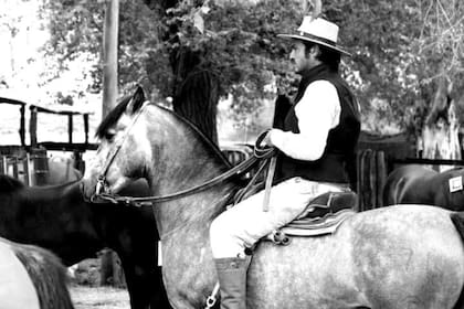 Según informaron, los Caballos Criollos volverán a tener un lugar destacado