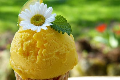 Según Juan de Artiaga, en Italia es muy común acompañar el panettone con un helado cítrico
