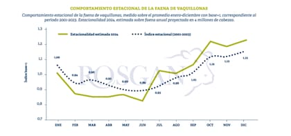 Según la BCR, otro aspecto que comienza a alertar es el “elevado número de hembras que se sacrifica en relación al stock disponible que, visto en términos de entrada y salida del flujo productivo, la cantidad de hembras faenadas en relación al ingreso de terneras registradas durante el ciclo”
