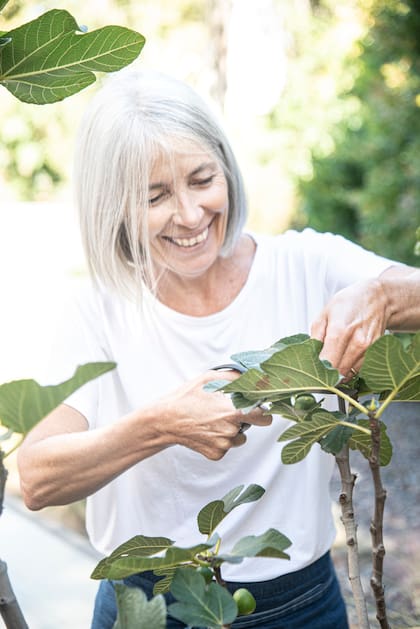 Según la chef sustentable Laura di Cola, las hojas de higuera son todavía poco conocidas en la gastronomía, pero esconden un potencial enorme