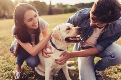 Según la ciencia, esta comunicación puede generar un vínculo más estrecho entre el humano y su dueño