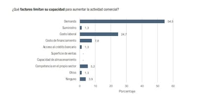 Según la Encuesta de Tendencia de Negocios del Indec, el 54,5% de las empresas del sector identifica a la falta de demanda como el principal límite para crecer, muy por encima de otros factores como costos o financiamiento.