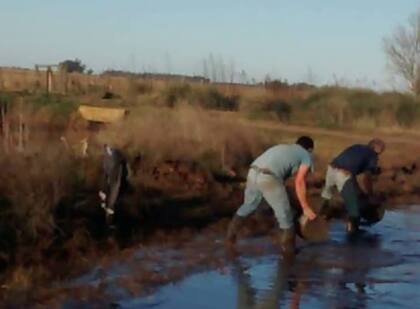 Según la entidad, de los 810 kilómetros de caminos rurales, apenas algunos tramos están en condiciones medianas para transitar