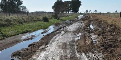 Según la entidad rural, entre 20 y 25 iniciativas relacionadas con la producción permanecen sin avances en la Legislatura bonaerense