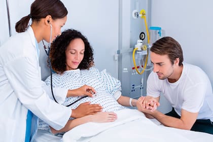 Según la hipótesis del dilema obstétrico, el bipedismo modificó la arquitectura pélvica al reducir el espacio entre las caderas y el sacro