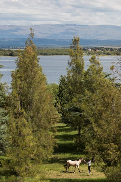 Según la resolución 2/2026 de la Agencia de Administración de Bienes del Estado (AABE), el complejo cordobés fue desafectado de la órbita de la Secretaría de Turismo y Ambiente y de la Administración de Parques Nacionales