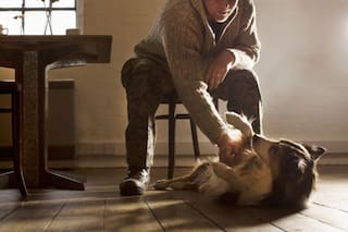 El boom de la soltería está transformando el mundo