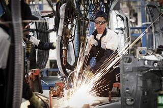 Pronóstico. Los cuatro sectores de la economía que podrían ingresar más dólares