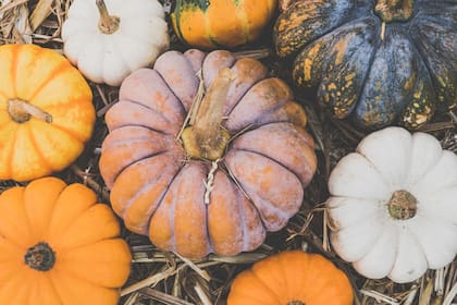 Según la variedad se las puede guardar entre 2 y 6 meses. (Canva)