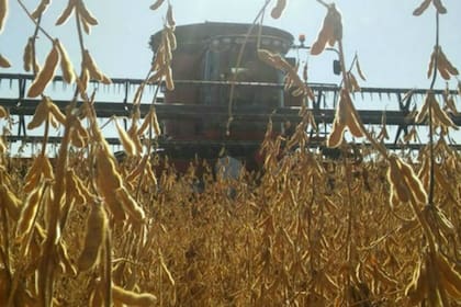 Según las entidades, el incremento de impuestos también para la venta de insumos también afectará a los productores