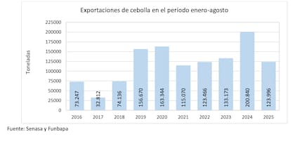 Según los datos, a fines de agosto de 2025, se alcanzó un total de 123.996 toneladas de cebollas empacadas en la Región Protegida Patagónica y comercializadas al exterior. Esta cifra, si bien supera a cinco de las últimas diez temporadas históricas, representa una caída notable frente a los volúmenes récord de años recientes, como las 200.840 toneladas exportadas en el mismo período de 2024, o las 163.344 toneladas de 2020 y las 156.670 toneladas de 2019