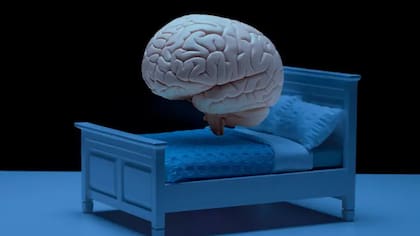 Según los expertos, la investigación sobre los sueños es un campo que está ganando popularidad