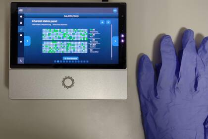 Según los expertos, "se trata de la primera información de este tipo que se hace pública"