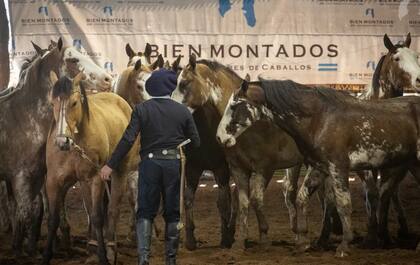 Según los organizadores, “Bien Montados” no es solo una clínica, es una experiencia formativa para quienes viven el mundo del caballo con pasión