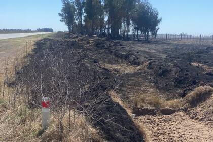 Según los productores, no había condiciones para que se registren los incendios
