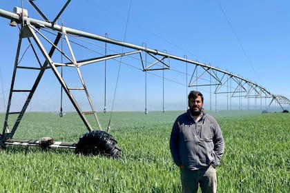 Según mencionó el productor, el crecimiento de la adopción se da por las facilidades de crédito, eliminación de impuestos y es un aliado ante los embates climáticos