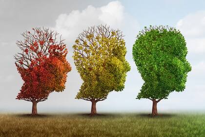 Según Rieznik la clave está en enseñar a memorizar de manera disfrutable, divertida, pero de ninguna manera dejar de hacerlo