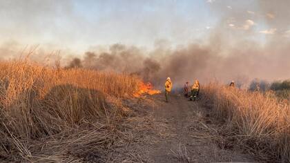 Según se ha señalado, los incendios parecían diseñados para provocar un humo intenso y permanente sobre Rosario, generando así una gran preocupación en la comunidad