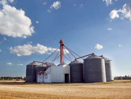 Según señalaron en la cartera agrícola, el volumen actual representa “un 36% en relación con el anterior máximo de 2022”