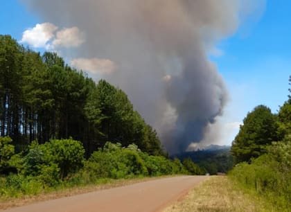Según señaló Jaime Ledesma, titular del Colegio de Ingenieros Forestales de Misiones (Coiform), los incendios forestales desde el 24 de diciembre se han vuelto ininterrumpidos, donde en dos días aproximadamente se dieron unos 70 focos en distintos puntos de la provincia
