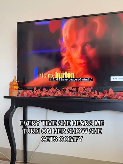 Según su dueña, cada vez que escucha la TV la perra se acuesta en el sillón (Captura: @evietheintern)