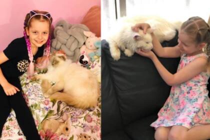 Según su madre, Emily está "un poco obsesionada con los gatos": quiere tener 50