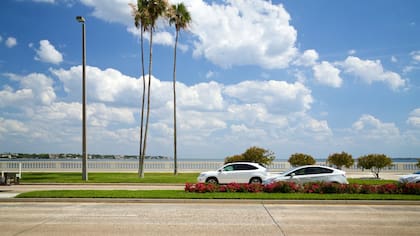 Según un estudio, Hyde Park es el área más transitable de Tampa, en donde las mayoría de los recados se hacen a pie