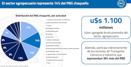 Según un informe del Instituto de Estudios Económicos y Negociaciones Internacionales (IEEyNI) de la Sociedad Rural Argentina (SRA), el sector agropecuario representa el 14% del Producto Bruto Geográfico del Chaco