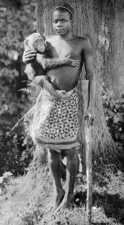 Según un letrero afuera de la casa de los primates, Oto Benga, de 23 años, 1,50 cm de altura y 47 kg. de peso, traído del río Kasai, Estado Libre del Congo, África Sur Central, por el Dr. Samuel P. Verner, se exhibiría "cada tarde durante el mes de septiembre".
Foto: Library of Congress