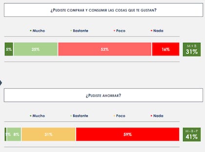 Según una encuesta de la consultora Opinaia, el 59% de los argentinos no pudo ahorrar en 2025