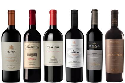 Seis Cabernet Sauvignon con premios y distinciones internacionales