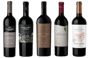 Cuáles son los 9 vinos argentinos entre los mejores Cabernet del mundo