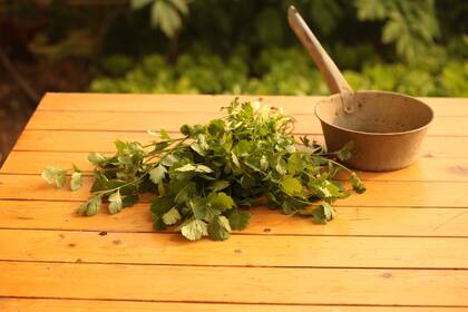 Seis ideas para sustituir el cilantro en la comida
