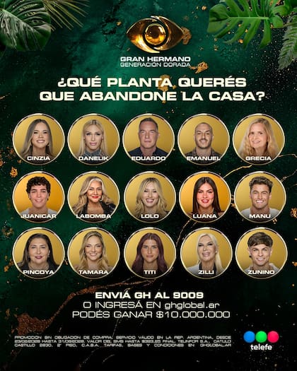 Seis participantes quedaron nominados en la "placa planta" (Captura: Instagram @granhermanoar)