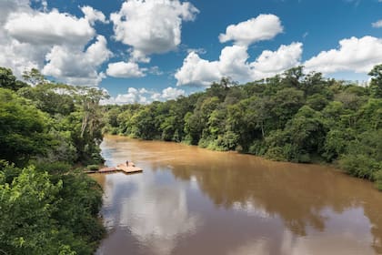 Selva misionera con su monte nativo