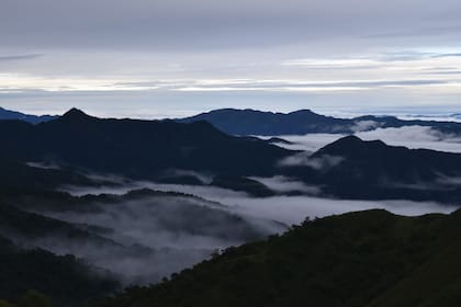 Selvas nubladas y bosques de altura en Argentina en la línea de niebla.