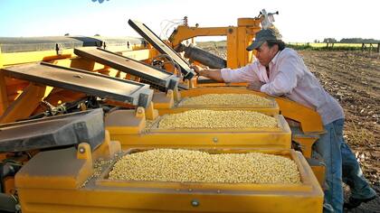 En el sector dicen que la Argentina quedó atrasada en esta materia