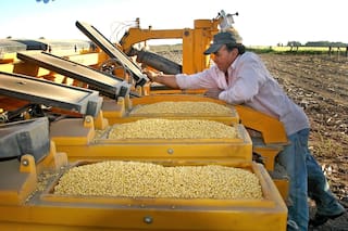 A partir de las lluvias, cobra ritmo el mercado de insumos agrícolas