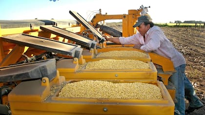 “Es una buena señal bajar impuestos", dijo Redrado, sobre la reducción de las retenciones.