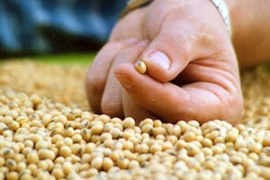 El campo quiere que se trate una importante agenda pendiente