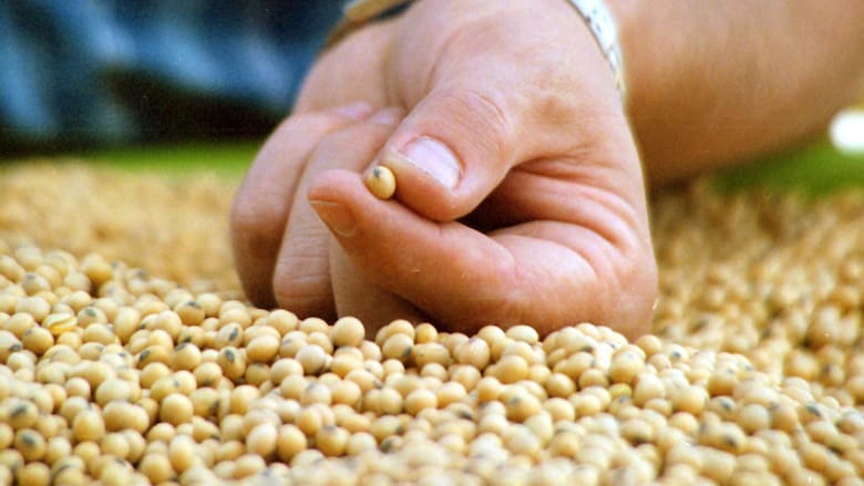 Bayer ve oportunidades para impulsar la innovación en semillas en Argentina con estándares internacionales