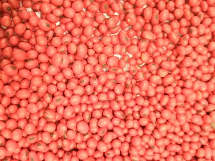 La Argentina no ha adherido al acta de 1991