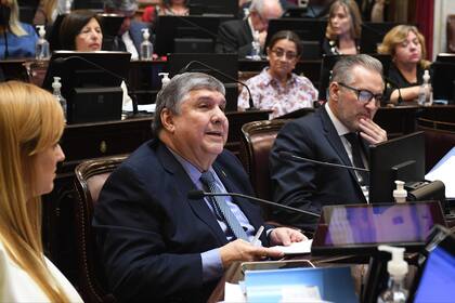 El presidente del interbloque del FdT en el Senado, José Mayans