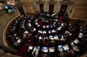 Tras votar el presupuesto, el Senado aprobó también el proyecto de inocencia fiscal
